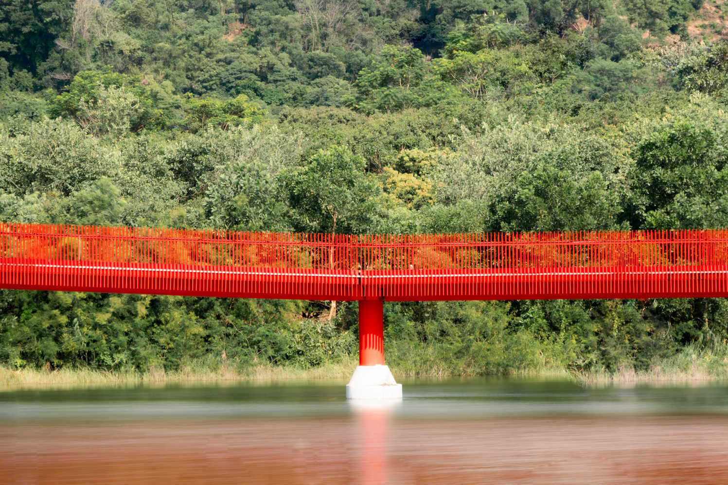 深圳系列 DSC_4165